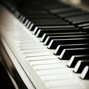 萌白酱视频在线
